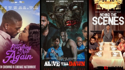 Top 5 Nollywood Movie Releases for January 2026