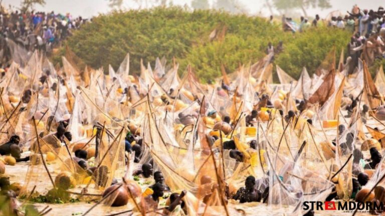 Mayama Abubakar Usman Secures ₦1m, Two Cars After 59kg Win at 2026 Argungu Festival