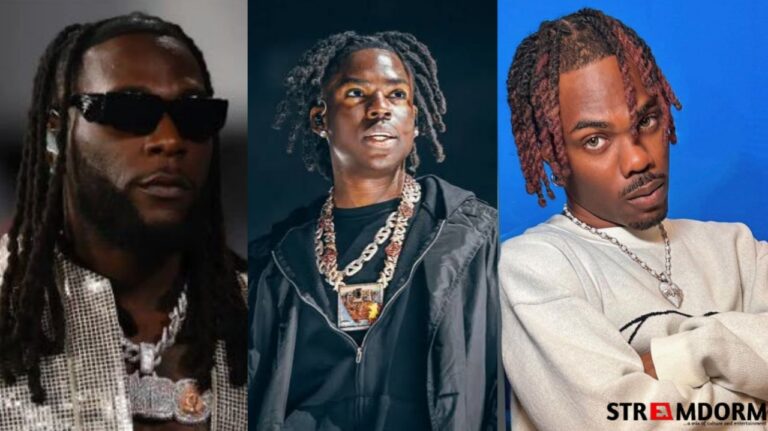 Burna Boy Leads Top 5 Most Subscribed Nigerian Musicians on YouTube in 2026